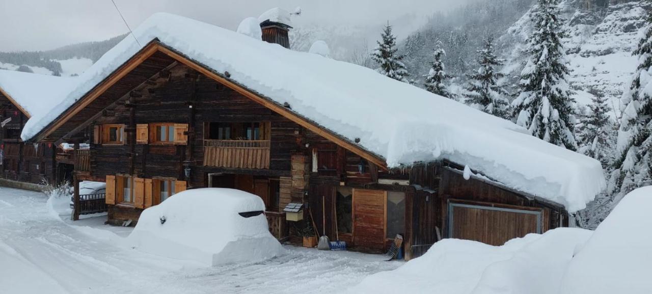 Lachat Appartement En Chalet Typique 大博尔南 外观 照片