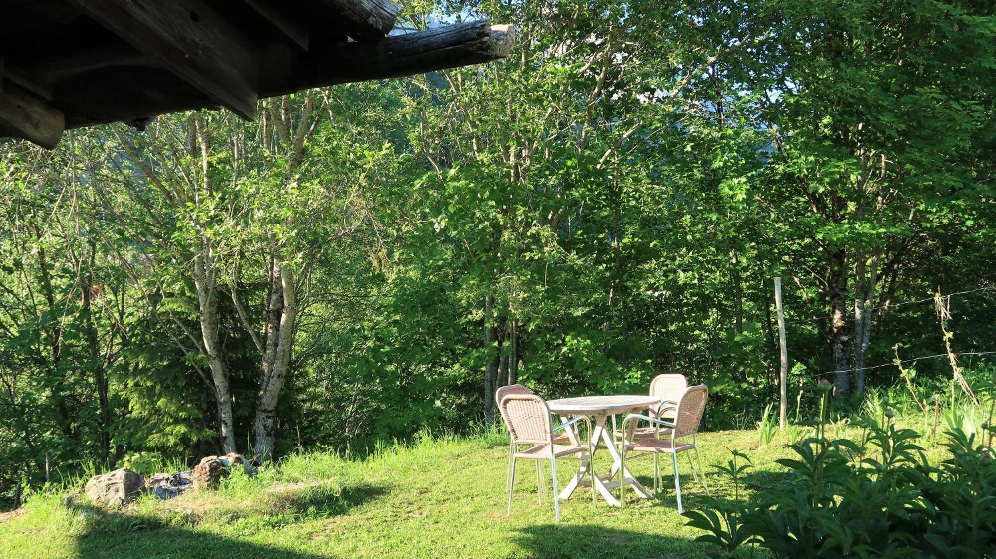 Lachat Appartement En Chalet Typique 大博尔南 外观 照片